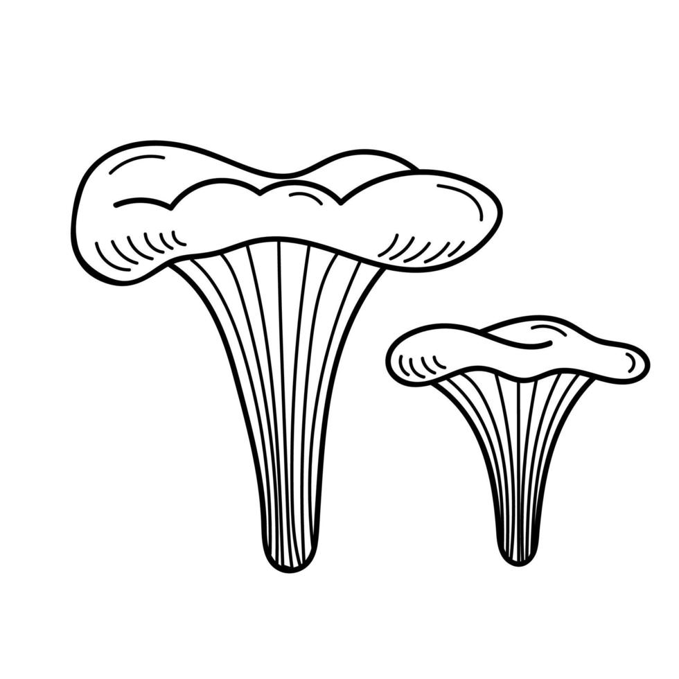 champignon comestible mignon dans un style doodle. ingrédients pour cuisiner, salades. récolte des plantes d'automne. illustration vectorielle isolée dessinée à la main pour les pages à colorier, croquis, contour vecteur