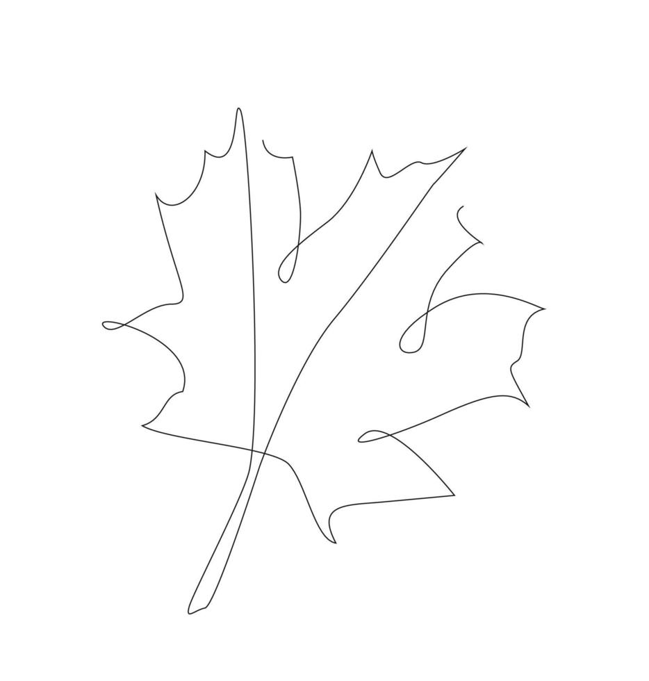 feuilles d'érable d'art en ligne. vecteur de contour. illustration d'une ligne de feuille d'automne.