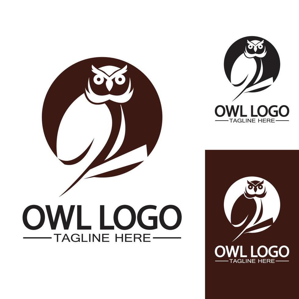 modèle de vecteur de logo hibou