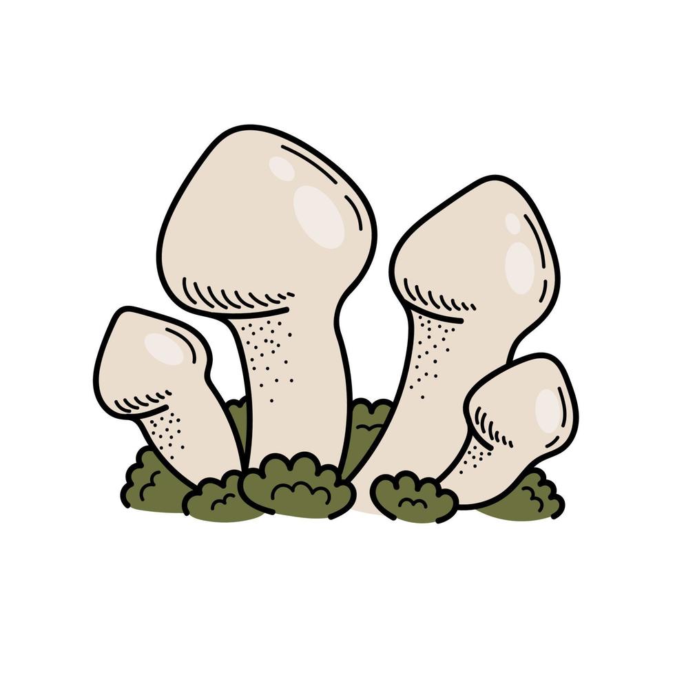 champignon mignon dans un style doodle. champignon vénéneux. illustration de main isolée de vecteur