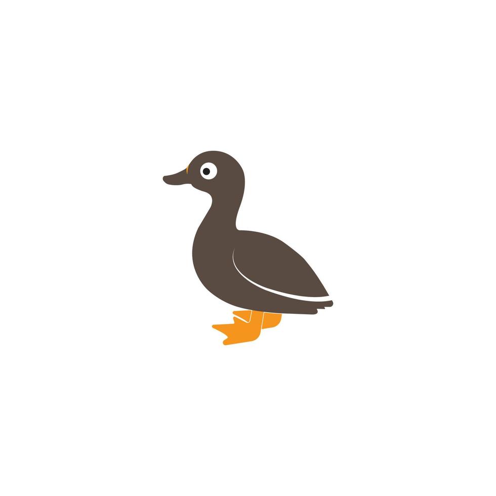 vecteur d'icône de canard