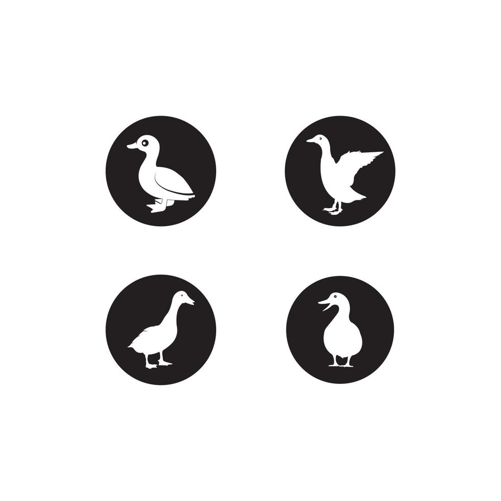 vecteur de logo de canard
