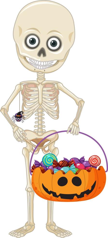 un squelette tenant un panier de bonbons sur fond blanc vecteur