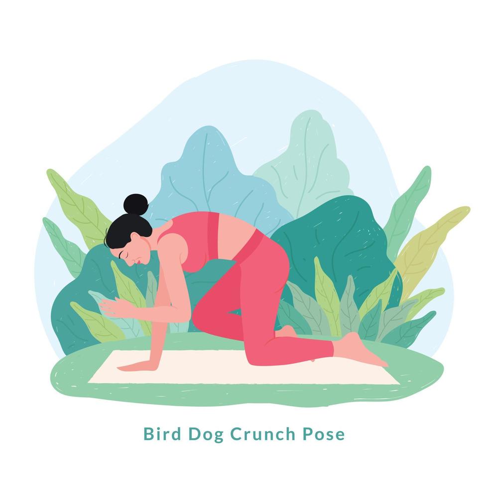 pose de yoga de craquement de chien d'oiseau. jeune femme femme faisant du yoga pour la célébration de la journée du yoga. vecteur