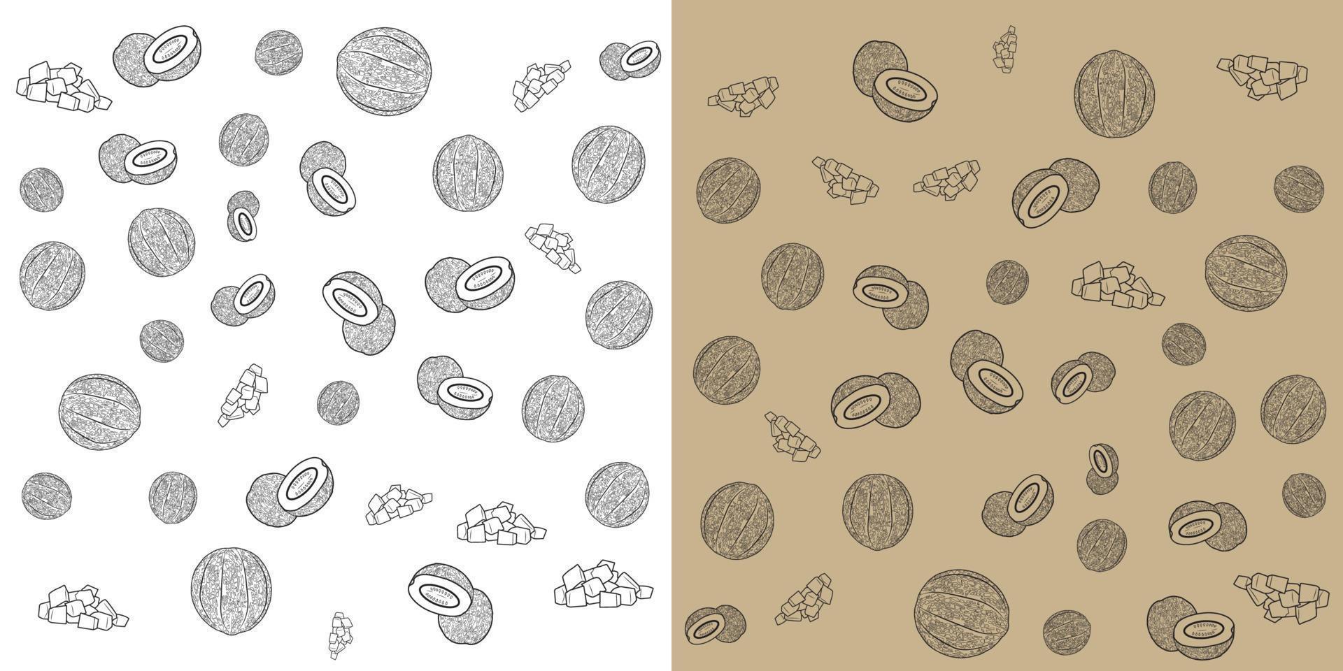 melon sucré ou cantaloup avec deux arrière-plans. illustration vectorielle de griffonnage. vecteur