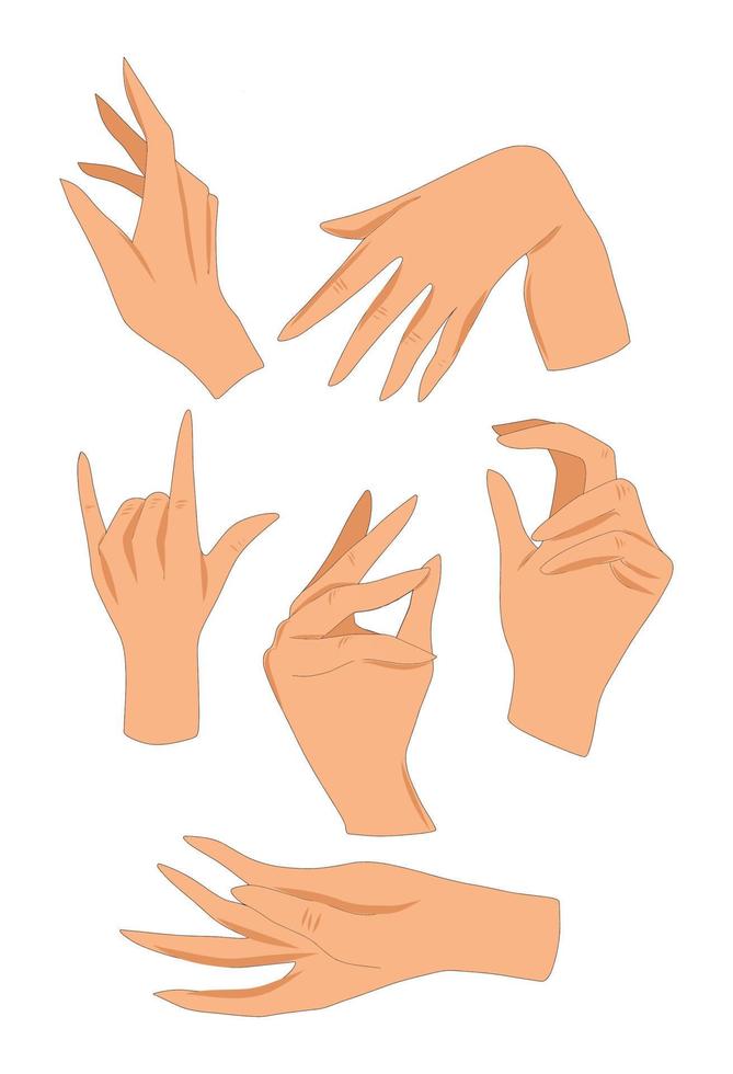 illustration vectorielle ensemble de mains humaines geste de la main doigts de paume homme femme vecteur