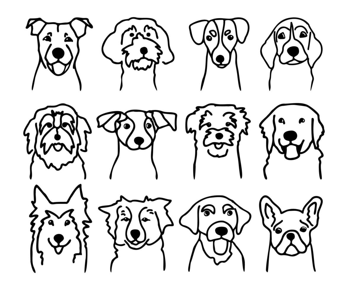 ensemble de différents visages de chien. races canines dans le style doodle. têtes dessinées à la main d'encre de chiots drôles. animaux de compagnie contour simple style enfants illustration vectorielle vecteur