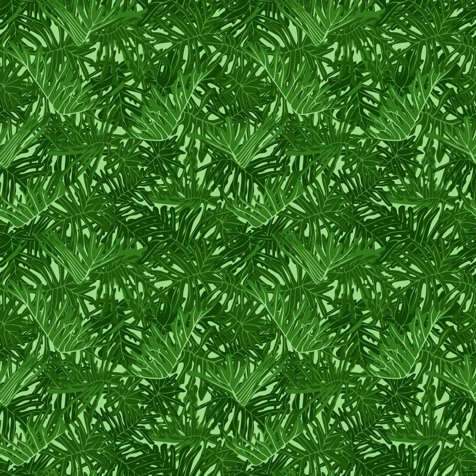 motif harmonieux de feuillage tropical vert avec des feuilles exotiques de philodedron xanadu. illustration vectorielle. vecteur