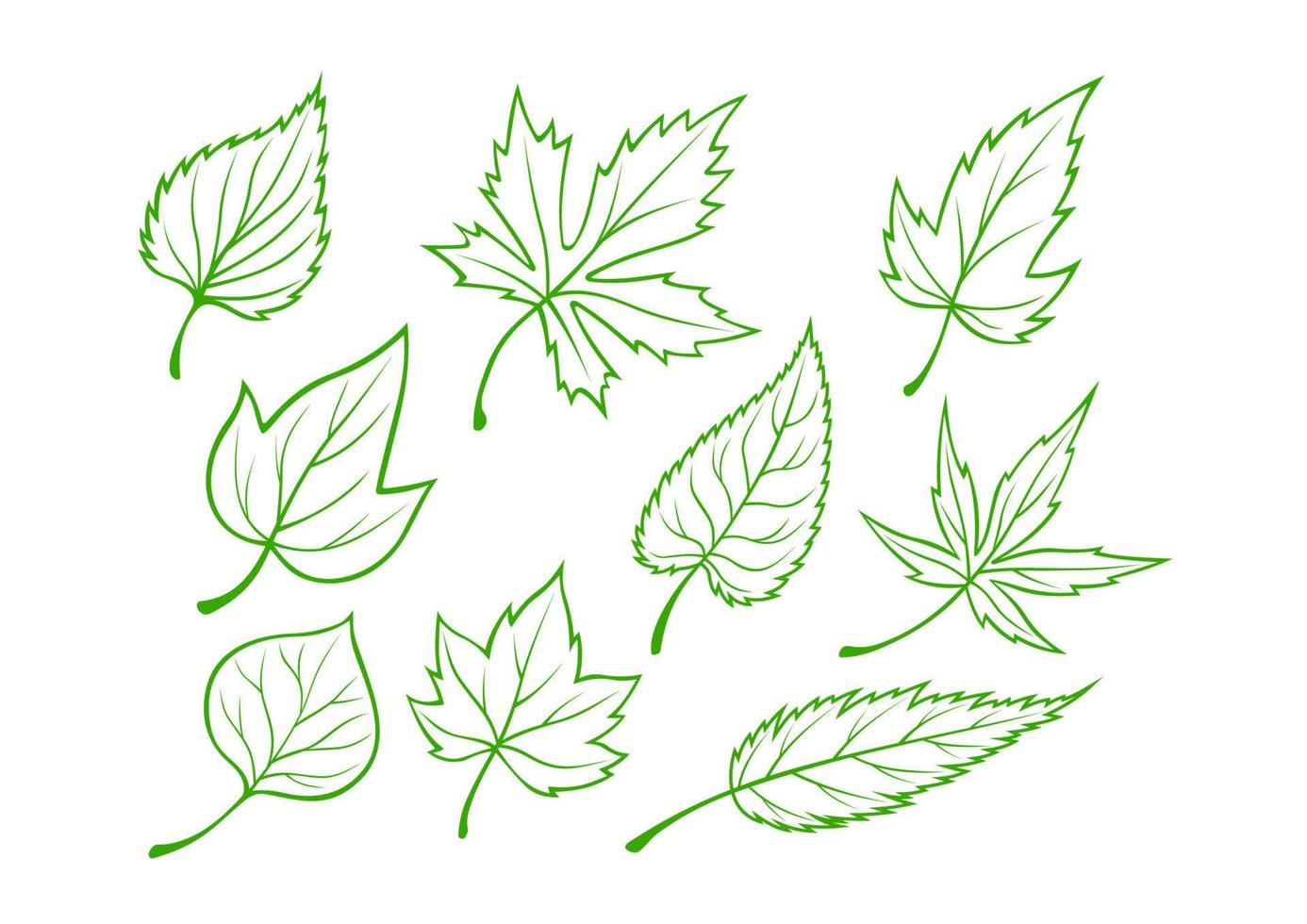 ensemble de feuilles vertes vecteur