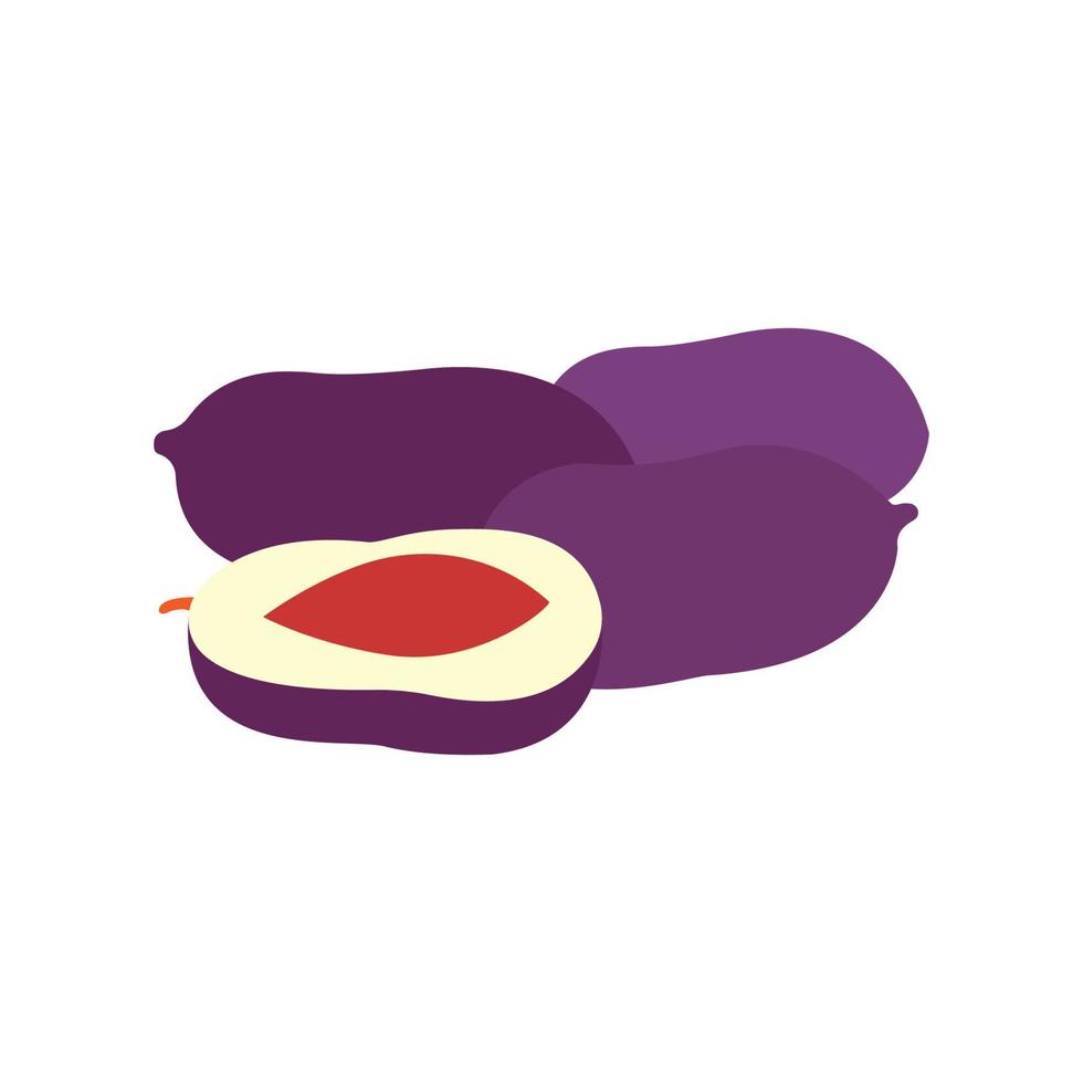 image vectorielle d'icône plate prune avec une illustration de conception vecteur