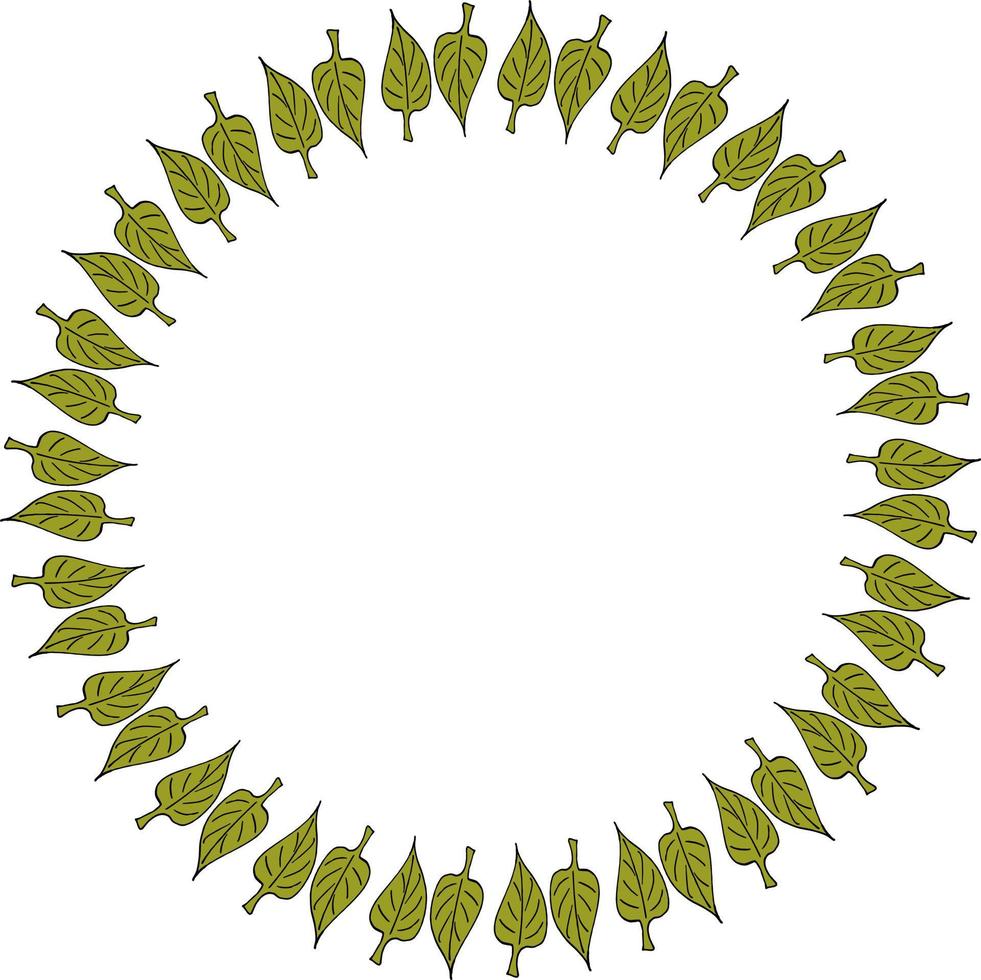 cadre rond avec des feuilles de doodle vert sur fond blanc. image vectorielle. vecteur