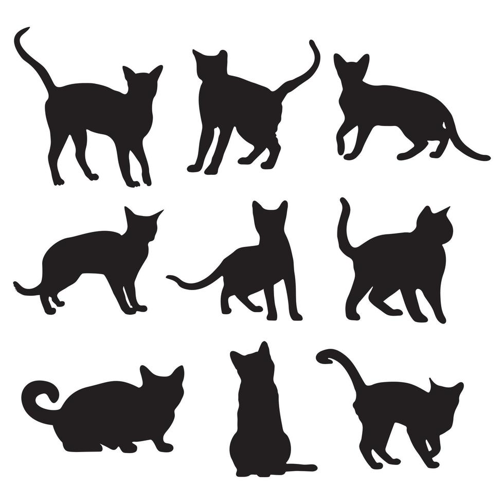 chats mis en silhouette sur fond blanc, illustrations de chat vecteur