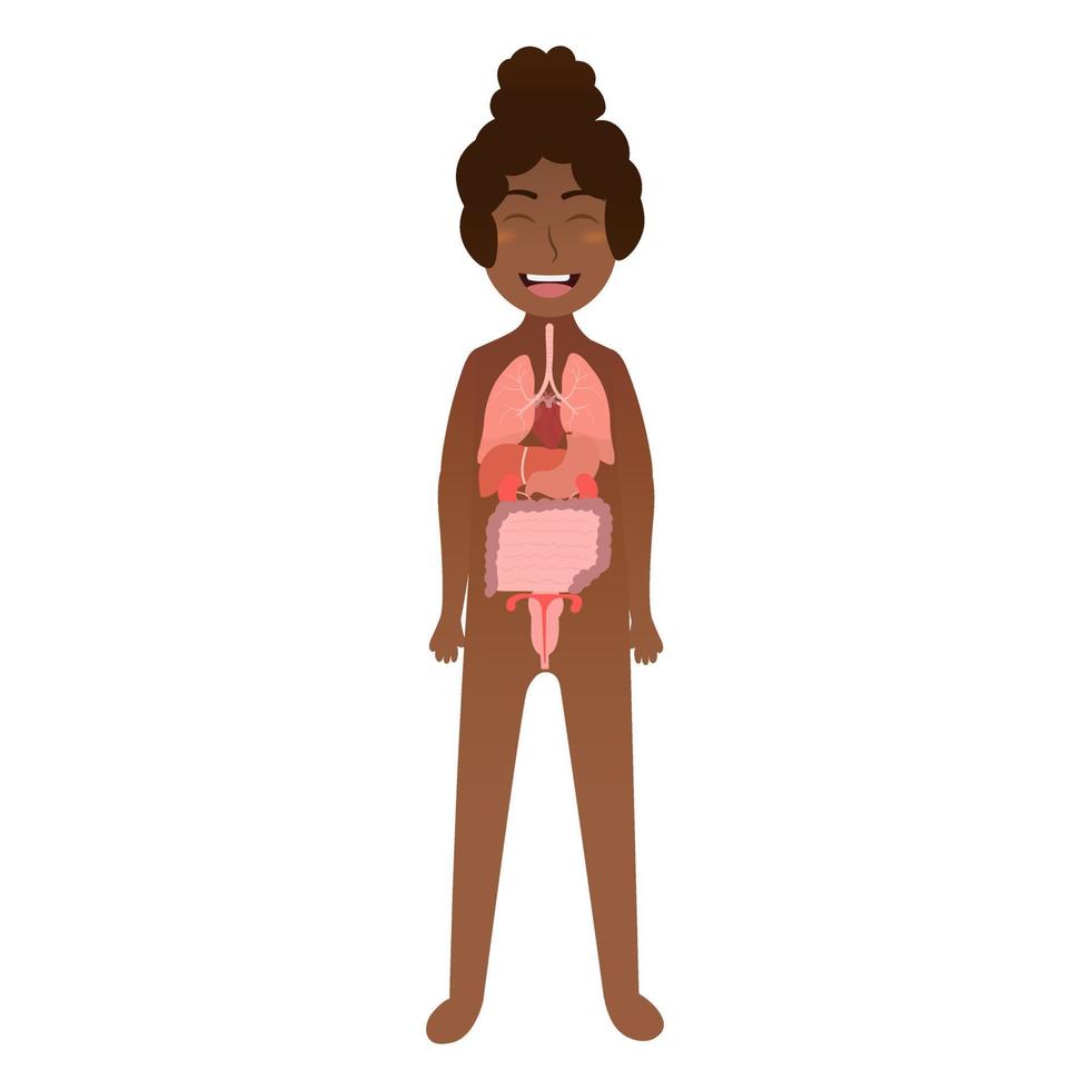 organes internes de fille pour affiche scientifique pour enfants, anatomie du corps de l'enfant dans un style vectoriel de dessin animé sur fond blanc, concept de soins de santé