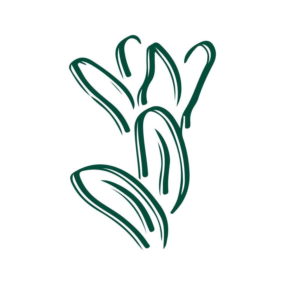 plante botanique abstraite dessinée à la main vecteur
