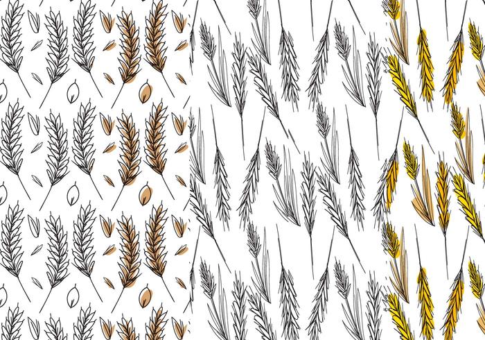 Ensemble de motifs de tige de blé vecteur