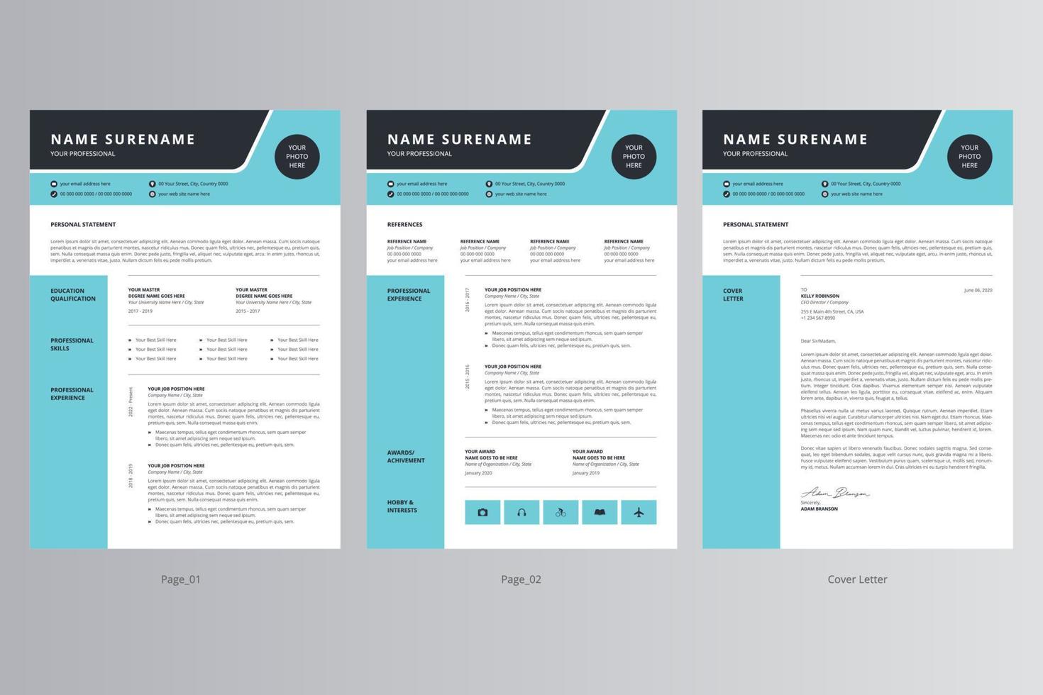 CV professionnel ou modèle de CV et lettre de motivation vecteur