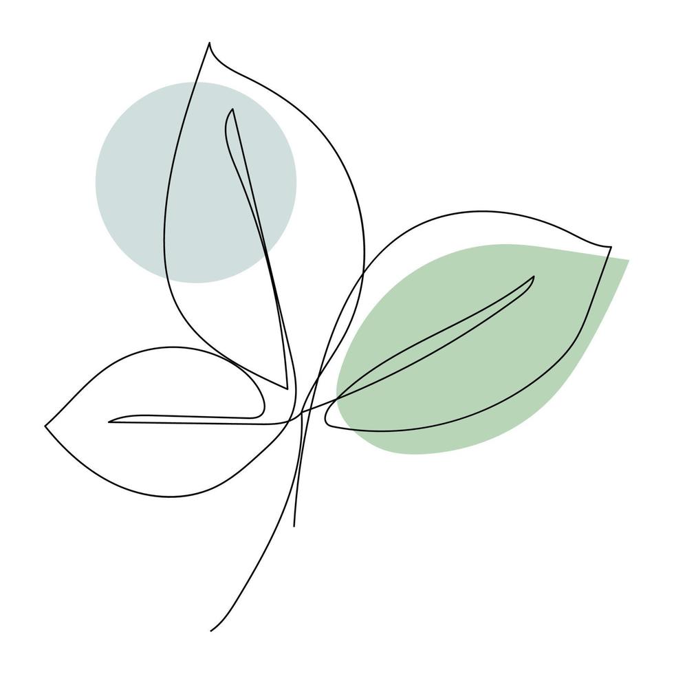 feuilles de plantes dessin au trait. dessin des contours. l'art du minimalisme. vecteur