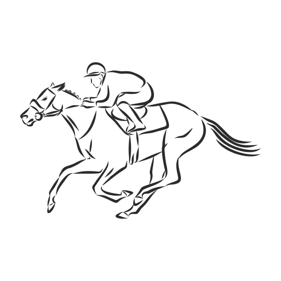 croquis de vecteur de formation de cheval