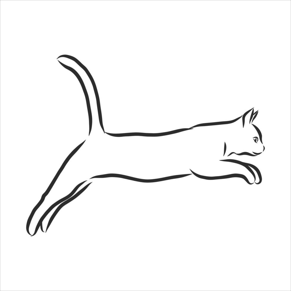 croquis de vecteur de chat