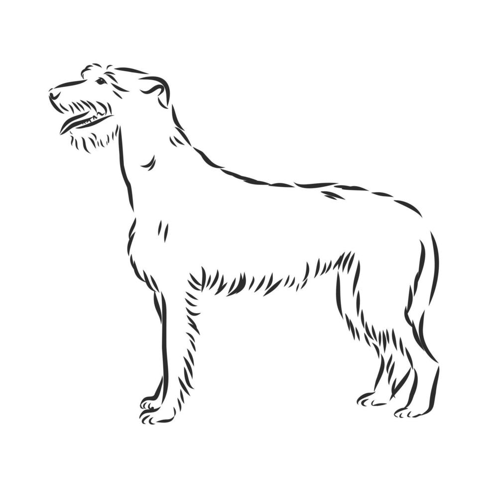 croquis de vecteur de chien