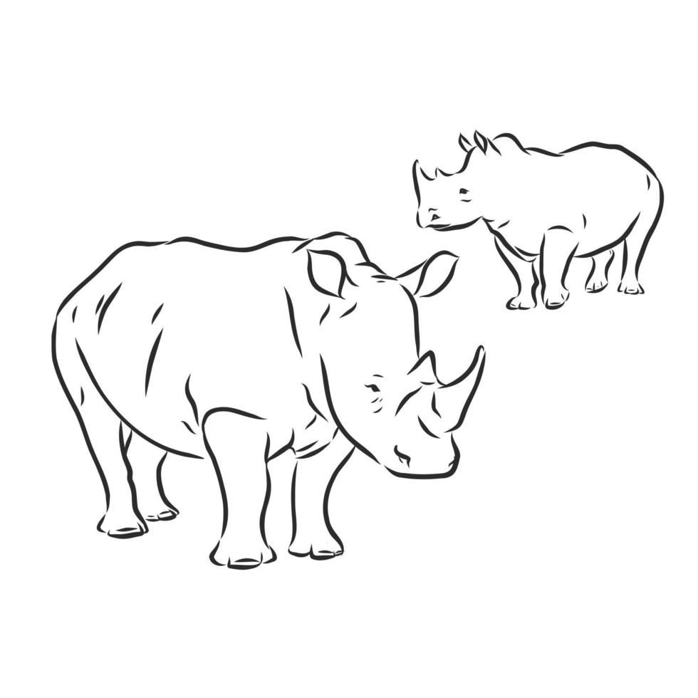 croquis de vecteur de rhinocéros