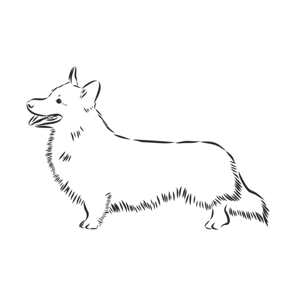 croquis de vecteur de chien