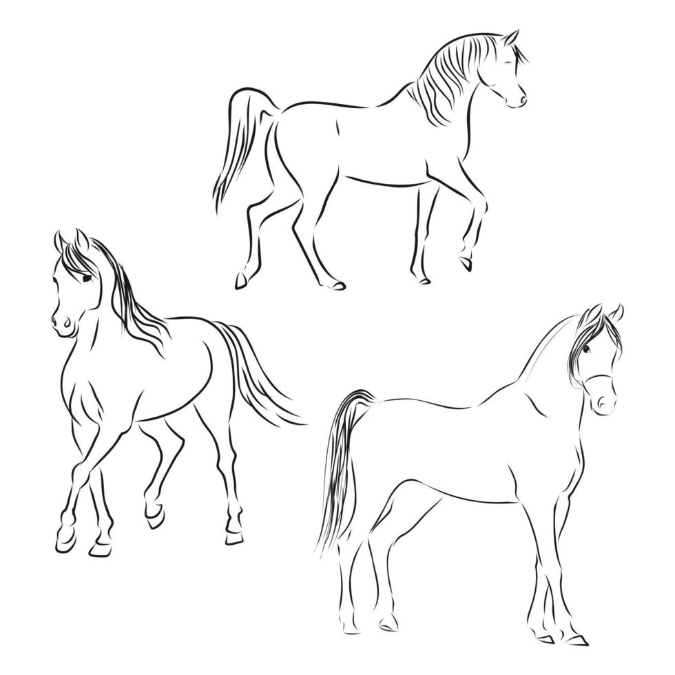 croquis de vecteur de cheval