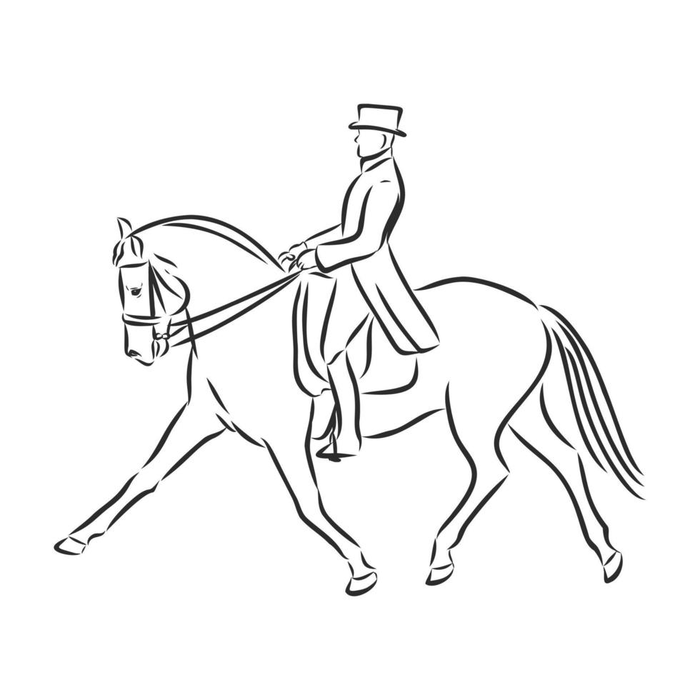 croquis de vecteur de formation de cheval