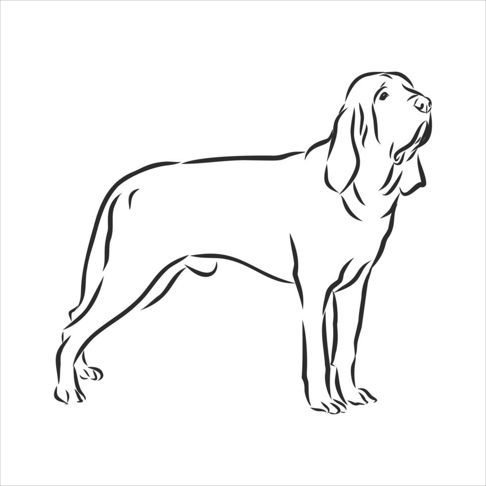 croquis de vecteur de chien