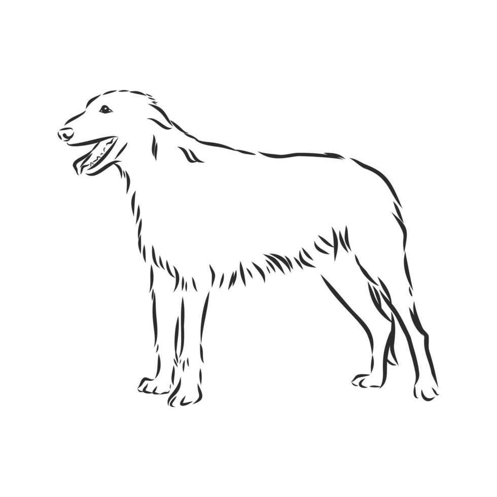 croquis de vecteur de chien