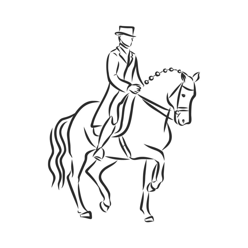 croquis de vecteur de formation de cheval