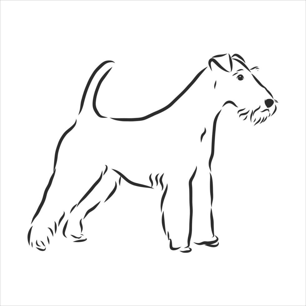 croquis de vecteur de chien