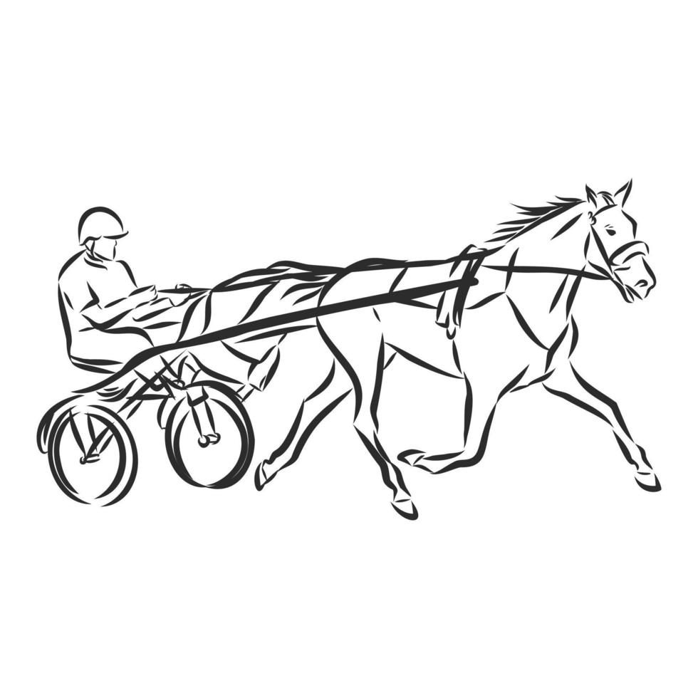 croquis de vecteur de formation de cheval