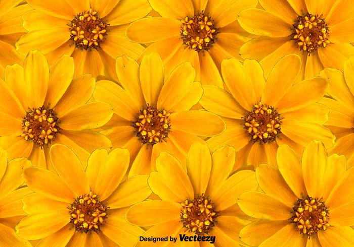 Fond floral des fleurs jaunes vecteur