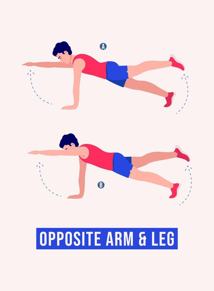 exercice des bras et des jambes opposés, entraînement physique des hommes, aérobie et exercices. vecteur