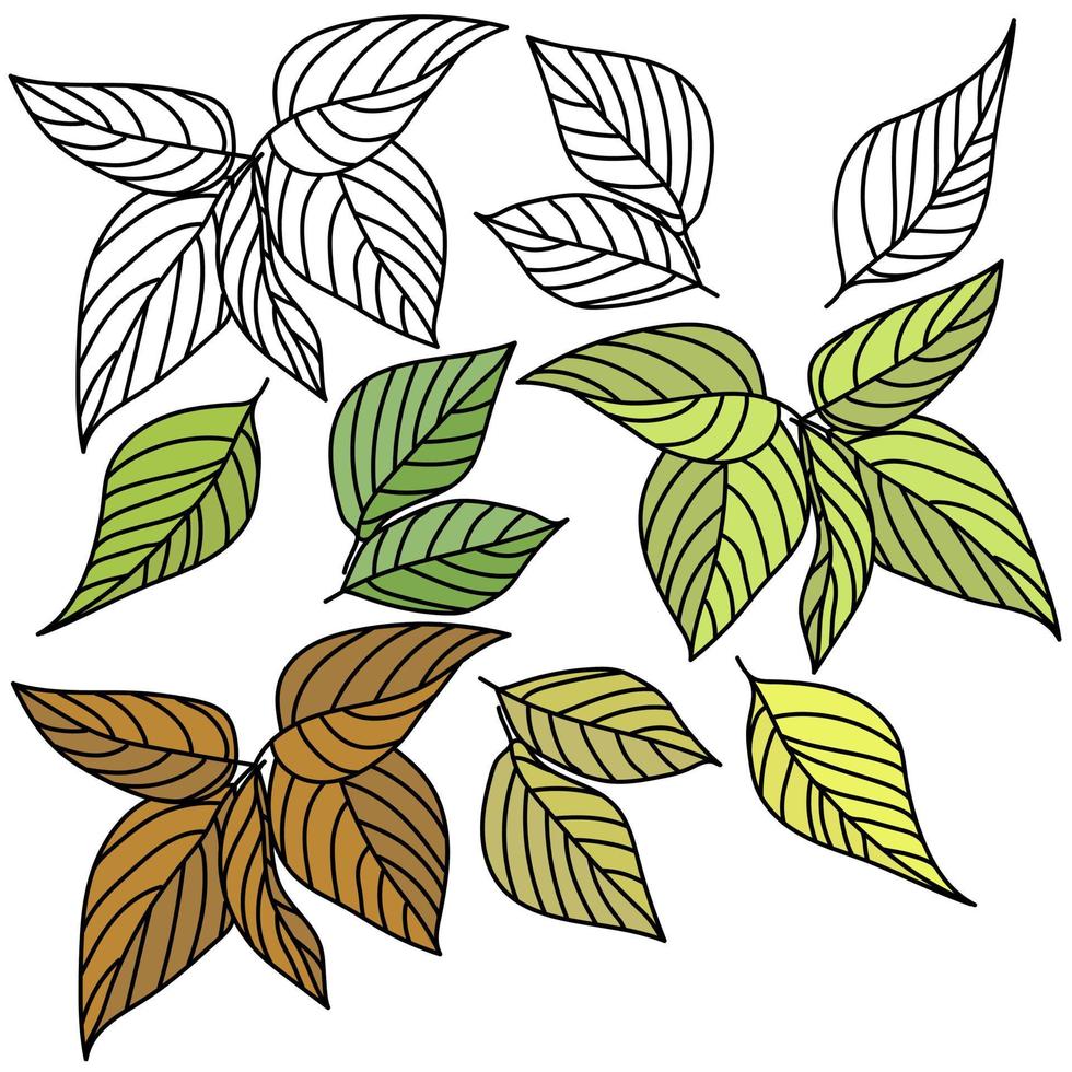 ensemble de feuilles et de brindilles aux veines claires, dessin de contour pour la coloration et feuilles peintes, feuilles vertes et jaunes vecteur