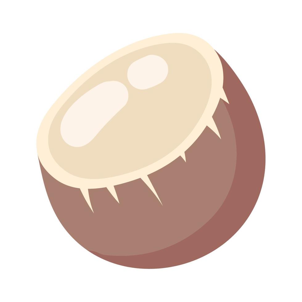icône de noix de coco tropicale vecteur