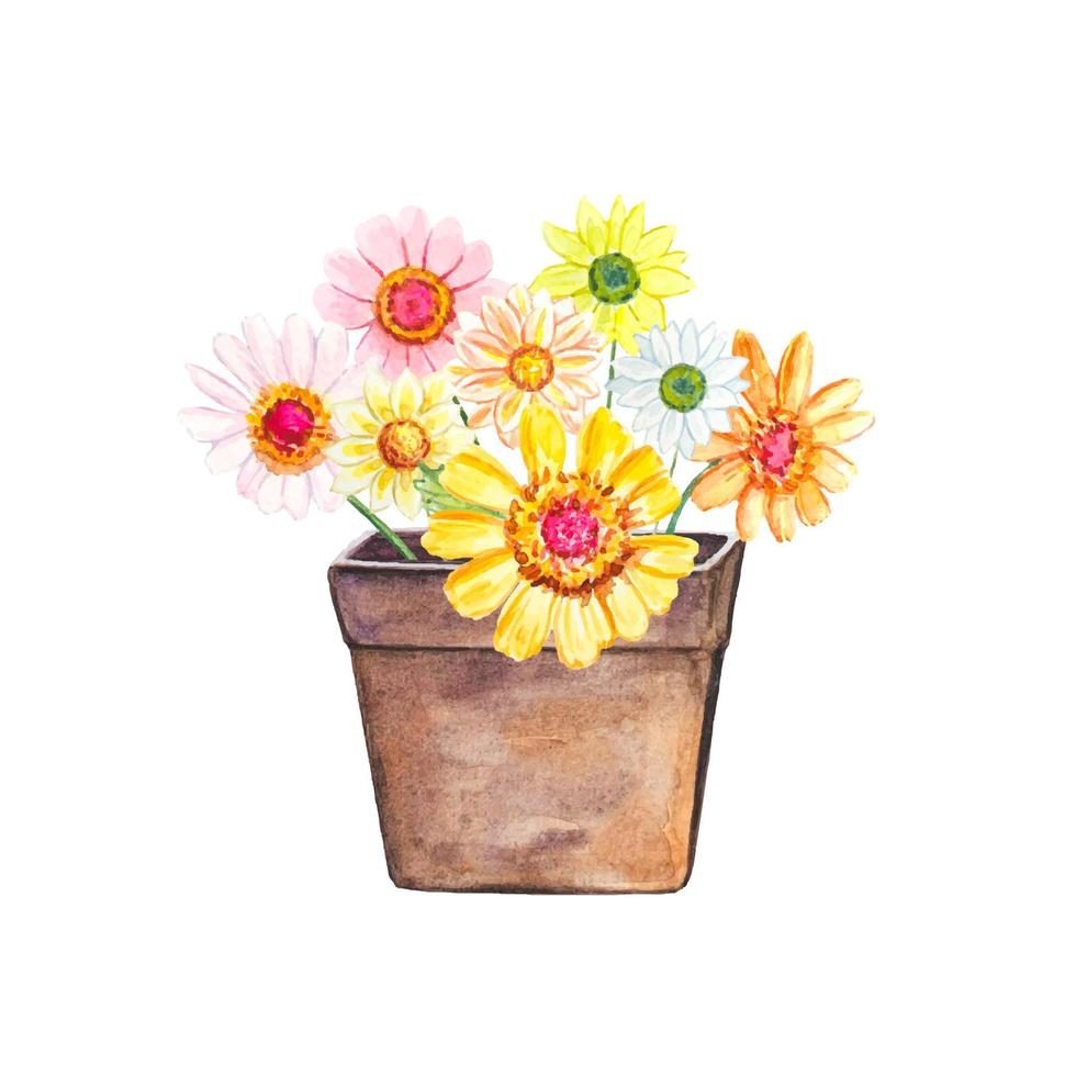 fleurs en pot vintage. illustration aquarelle dessinée à la main vecteur