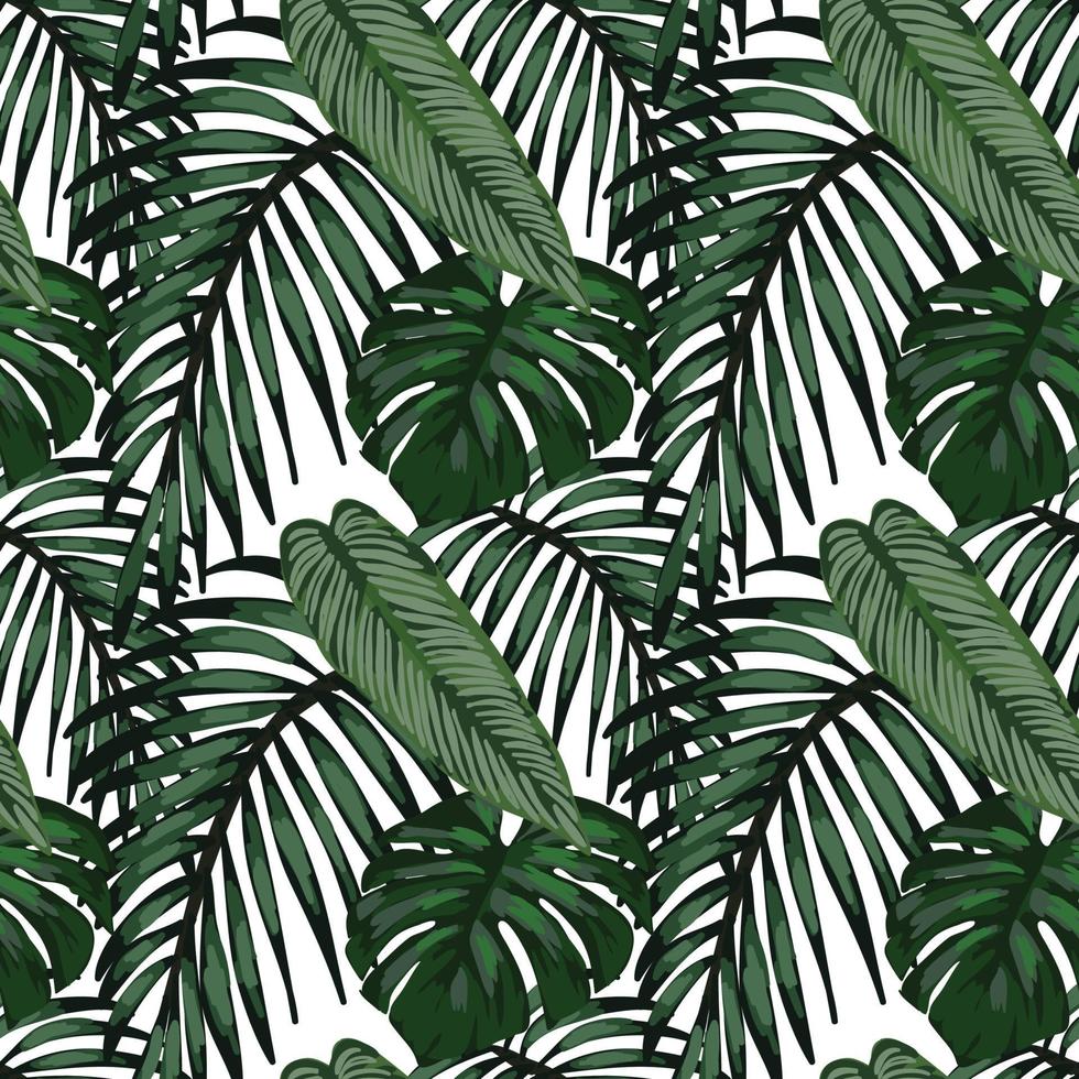 feuilles tropicales et conception sans couture d'oiseaux tropicaux vecteur