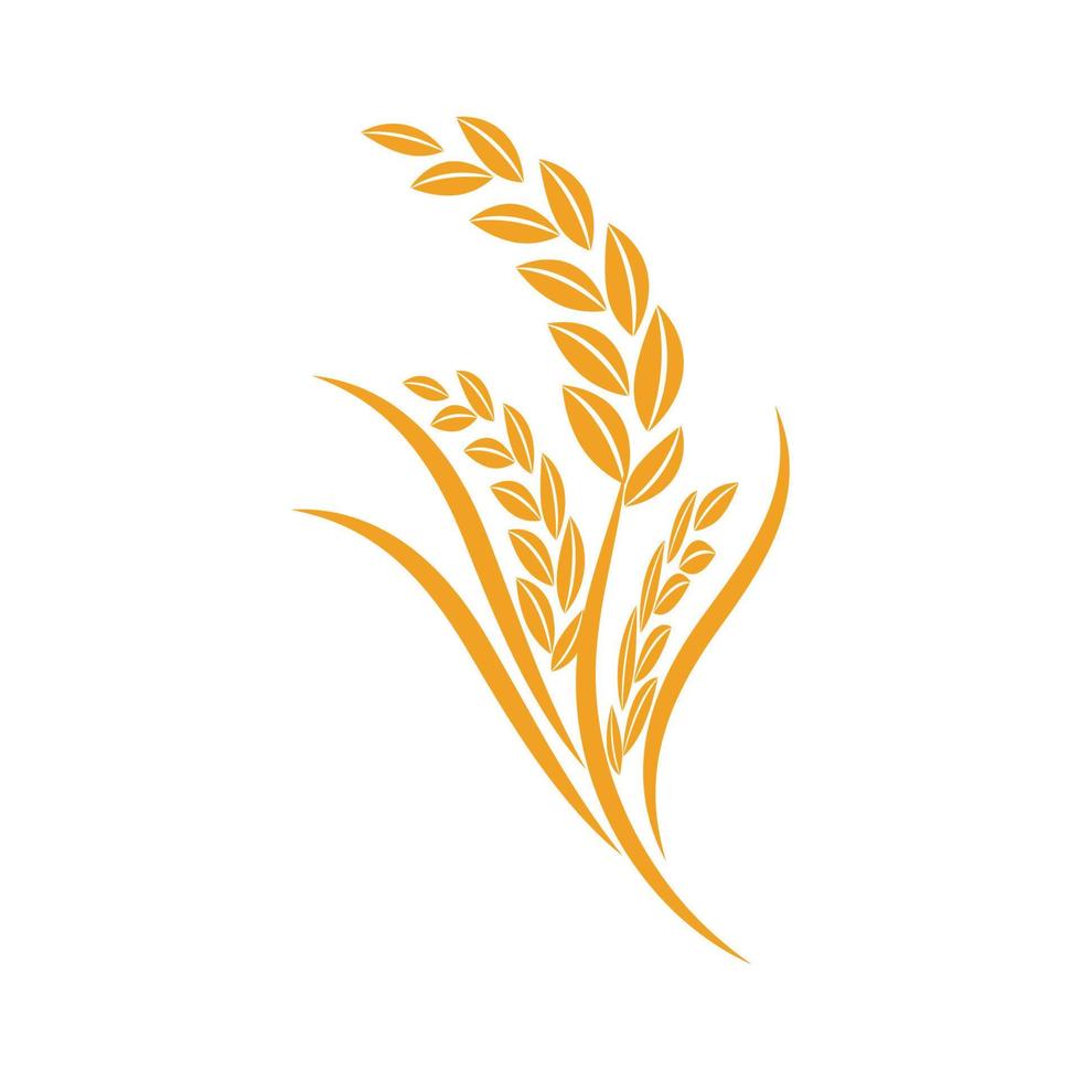 modèle de logo de blé conception d'illustration vectorielle vecteur