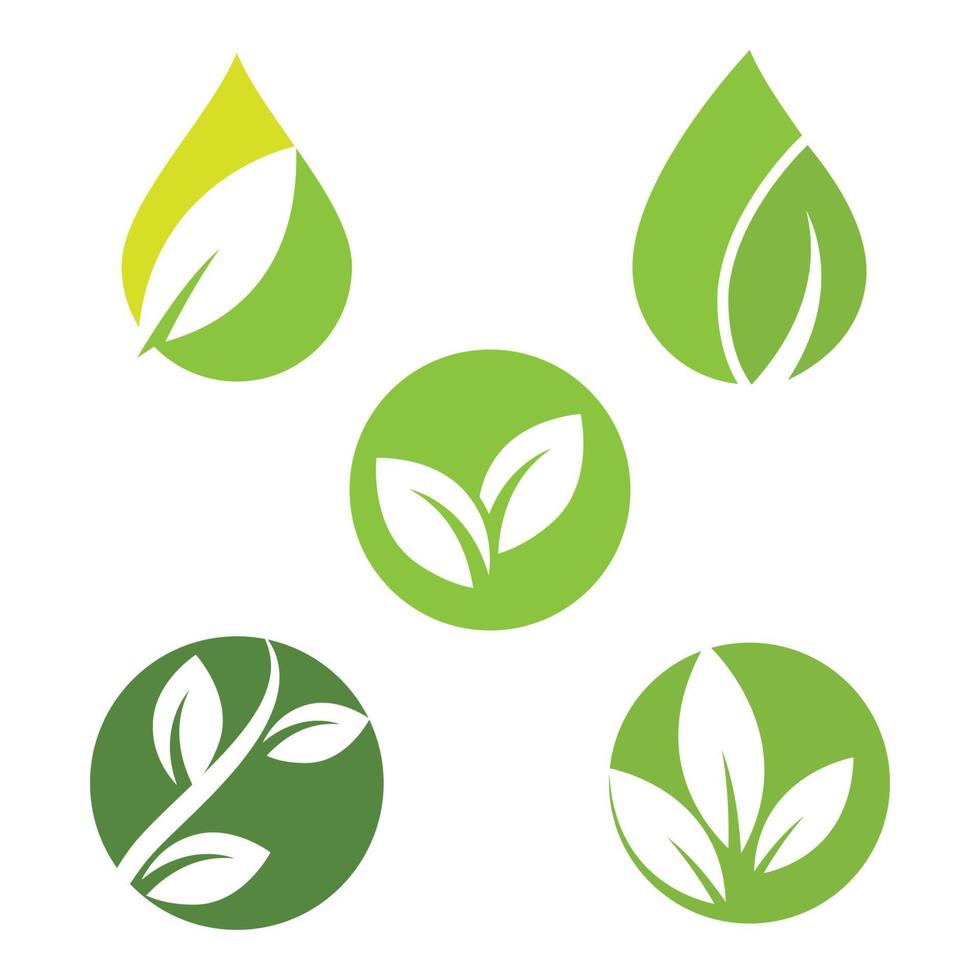 feuille verte logo écologie nature élément vecteur icône