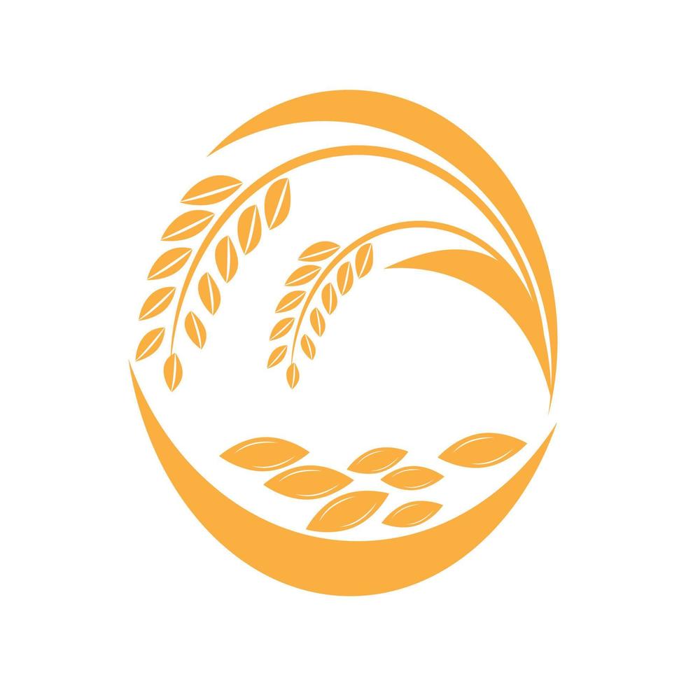 modèle de logo de blé conception d'illustration vectorielle vecteur