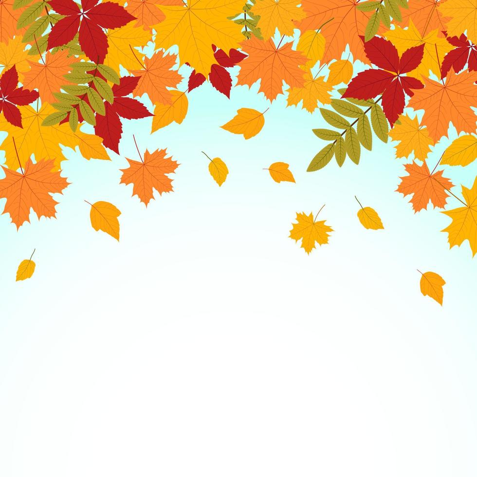 fond d'automne avec des feuilles colorées vecteur