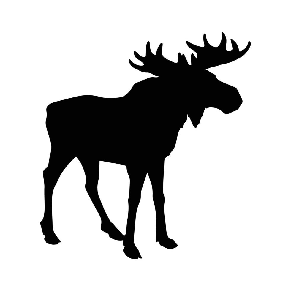 silhouette de cerf sur le vecteur de fond blanc