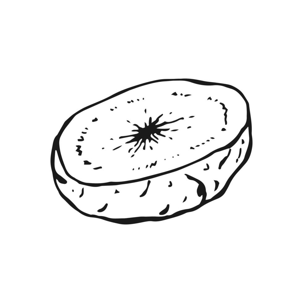 contour de pomme de terre. illustration vectorielle dessinés à la main. produit du marché agricole, légume isolé. vecteur