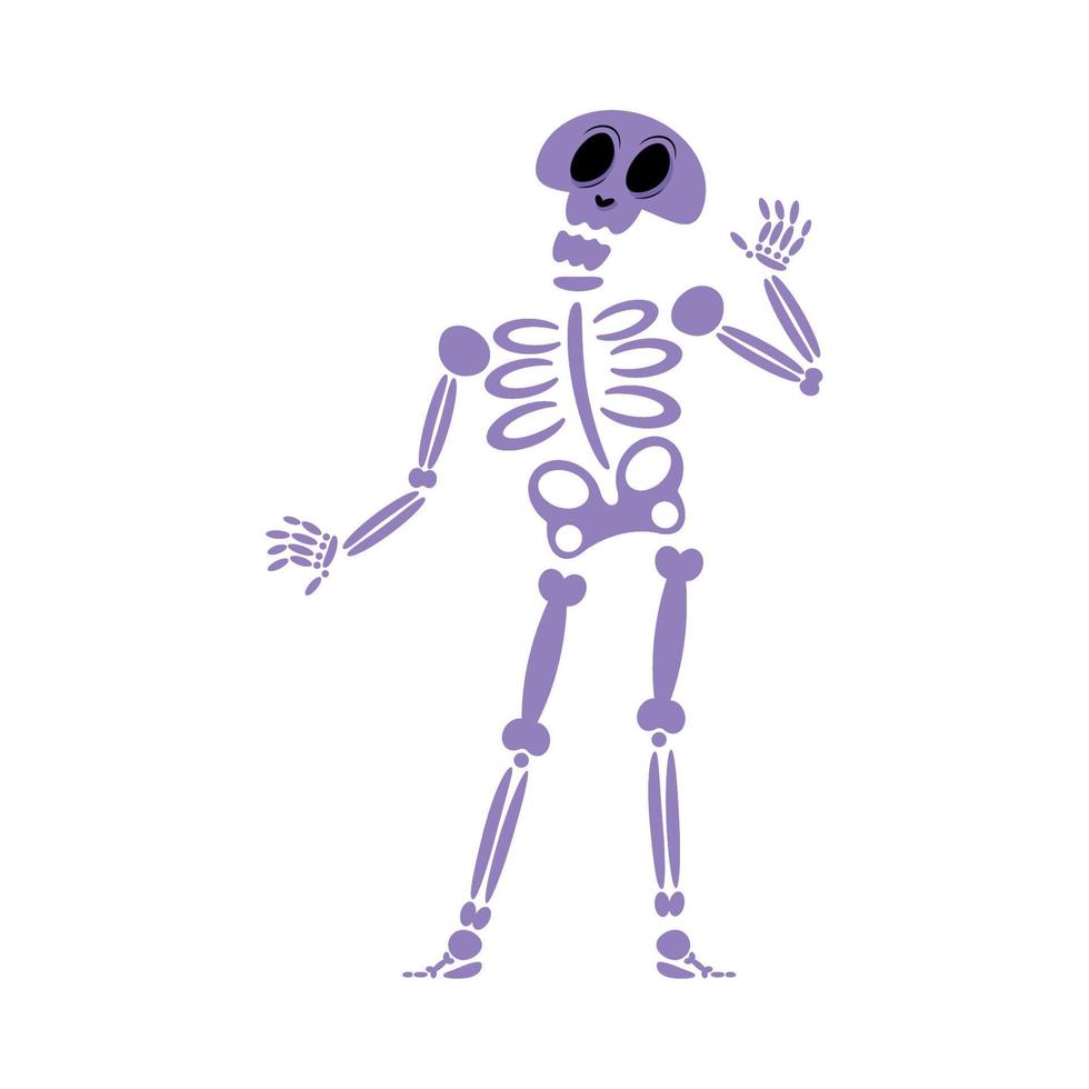 icône plate squelette vecteur