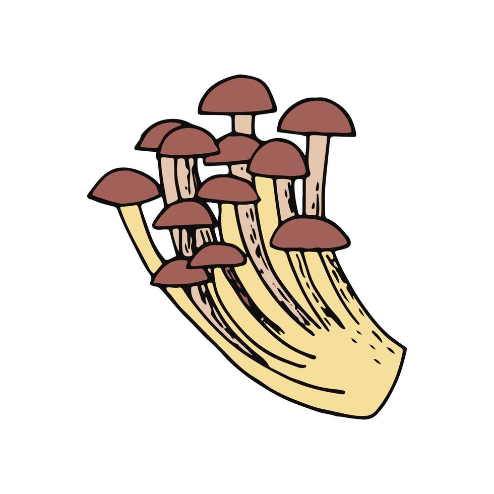 croquis de champignons doodle dessiné à la main. pour la carte de conception, l'icône, l'affiche, la nourriture végétale nature monochrome vecteur