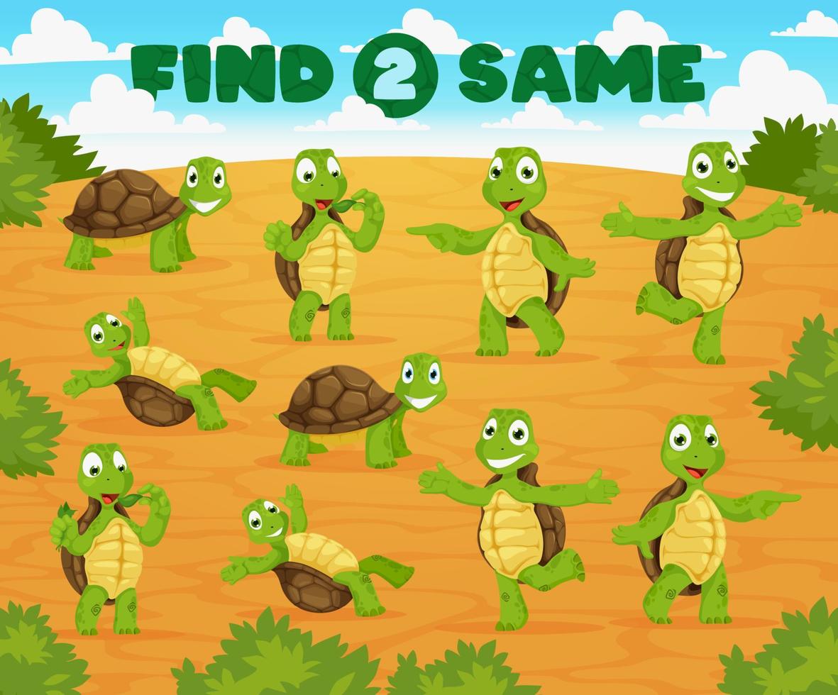 trouver deux mêmes jeux avec des personnages de tortues de dessin animé vecteur