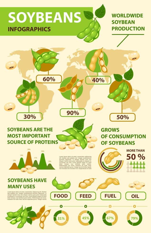 infographie sur le soja et le soja, production de haricots vecteur