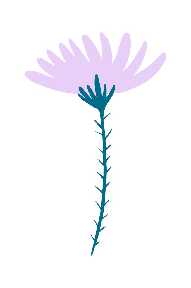 illustration vectorielle d'une fleur de pissenlit de champ lilas dessinée dans un style plat. vecteur